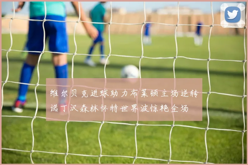 维尔贝克进球助力布莱顿主场逆转诺丁汉森林怀特世界波惊艳全场