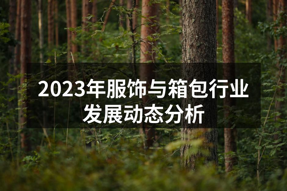 2023年服饰与箱包市场分析图